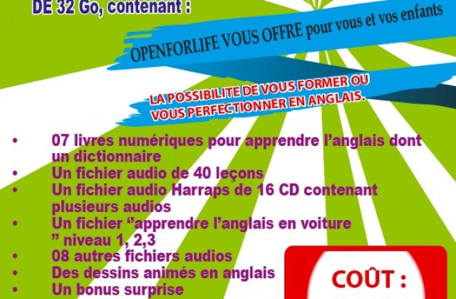 annonce-apprenez-l-anglais-40