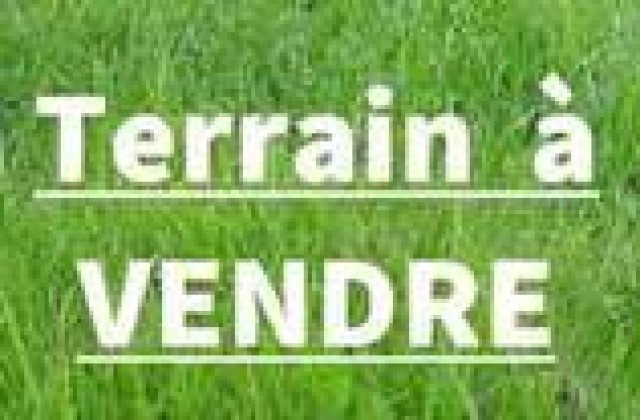 annonce-terrain-a-vendre-223