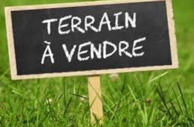 annonce-terrain-a-vendre-266