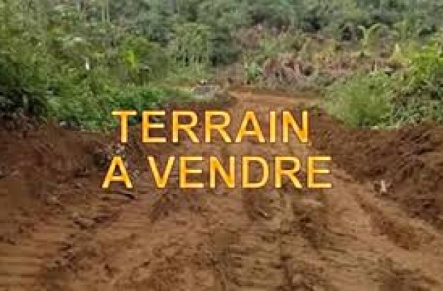 annonce-terrain-a-vendre-268