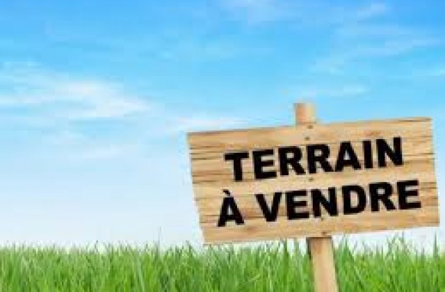 annonce-terrain-a-vendre-289