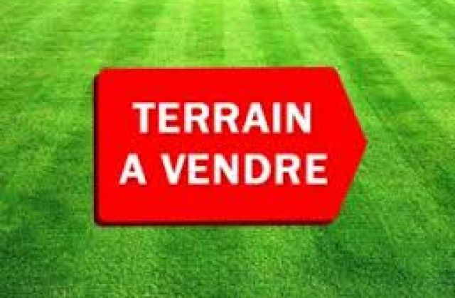 annonce-terrain-a-vendre-374