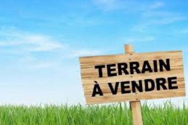 Photo de terrain-a-vendre-289